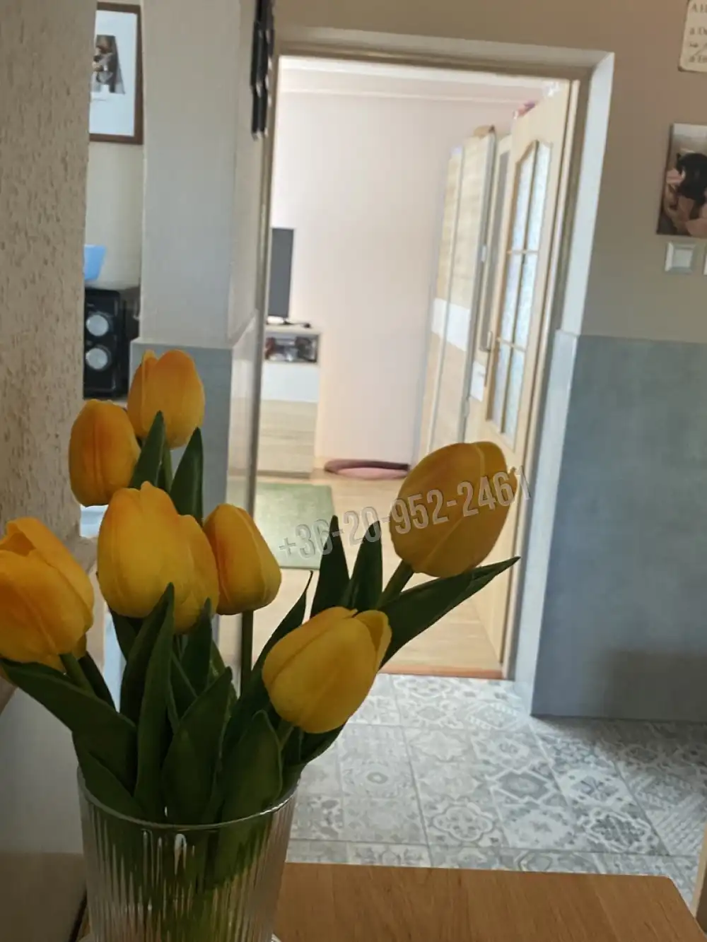 Komárom-Esztergom megye - Koppánymonostor