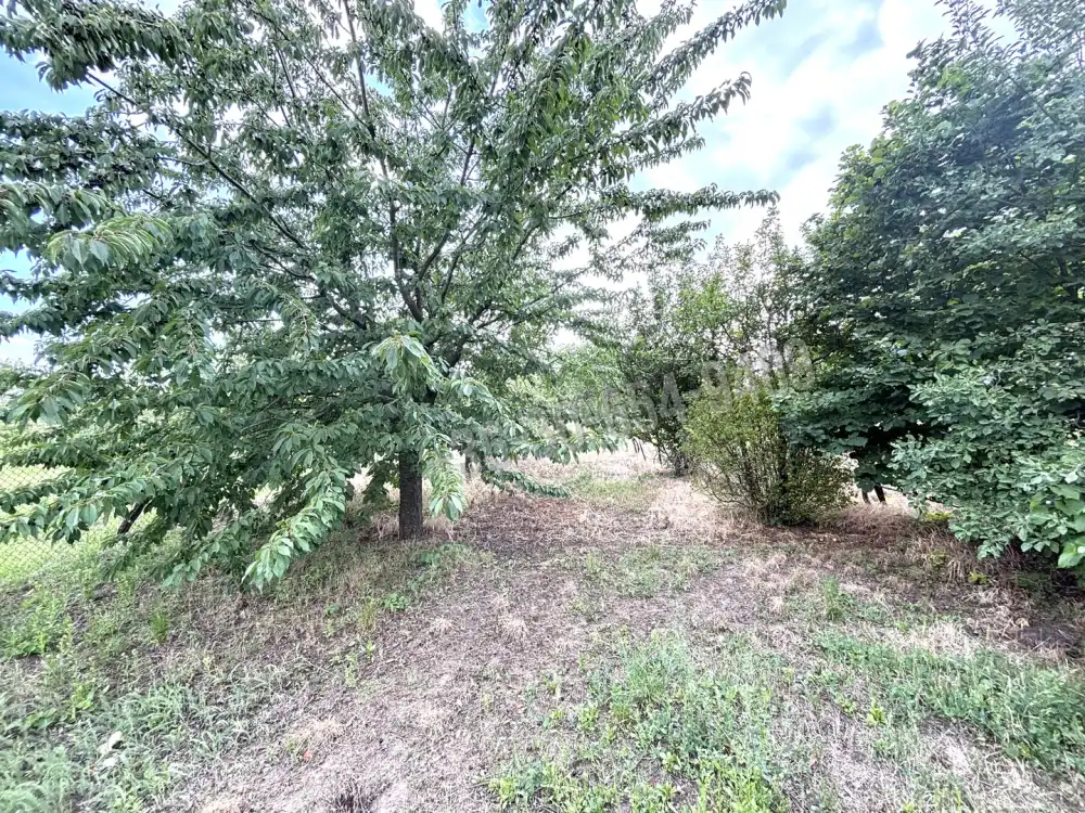 Pest megye - Kosd