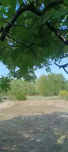 Bács-Kiskun megye - Kunbábony