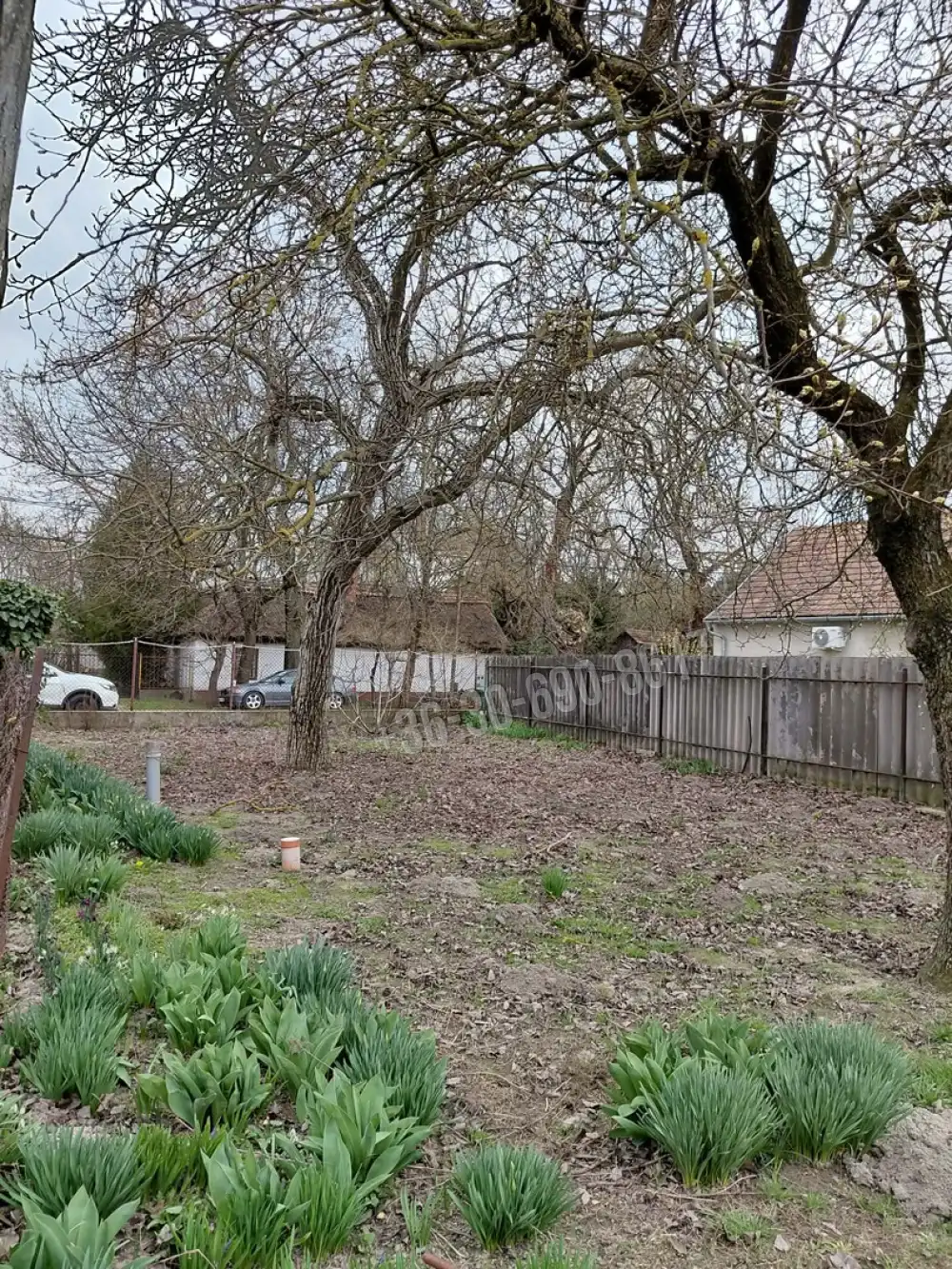 Bács-Kiskun megye - Kunszentmiklós