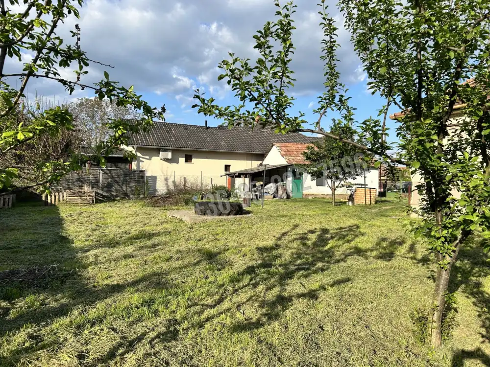 Bács-Kiskun megye - Lajosmizse
