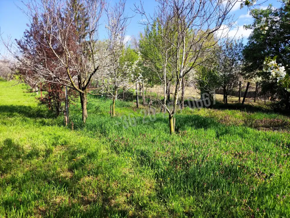 Baranya megye - Lánycsók