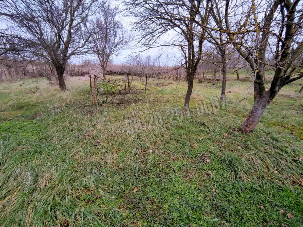 Baranya megye - Lánycsók