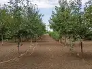 Heves megye - Lőrinci