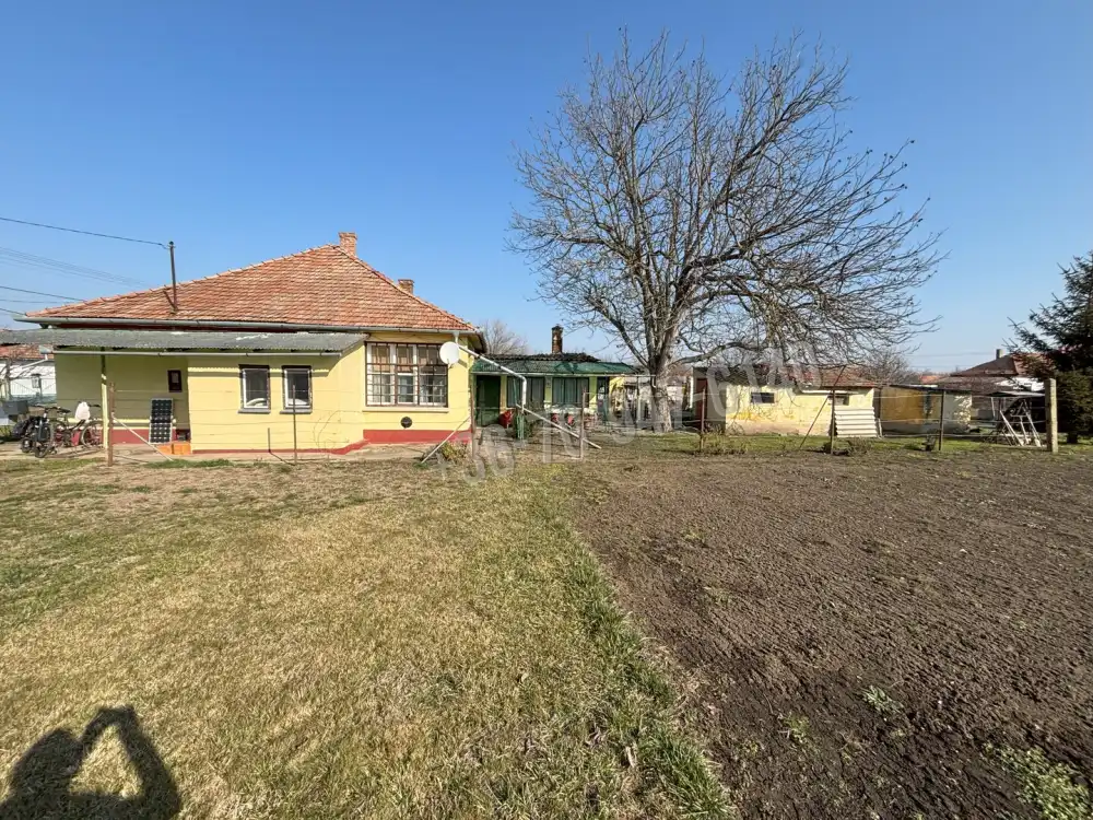 Békés megye - Mezőhegyes