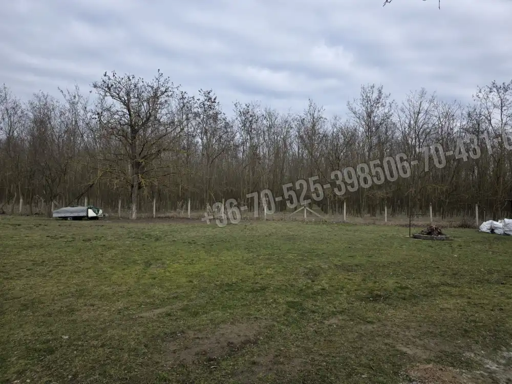 Pest megye - Mikebuda