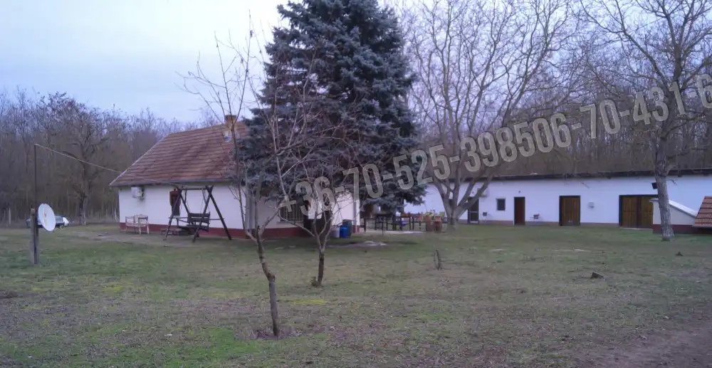 Pest megye - Mikebuda