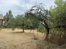 Pest megye - Mogyoród