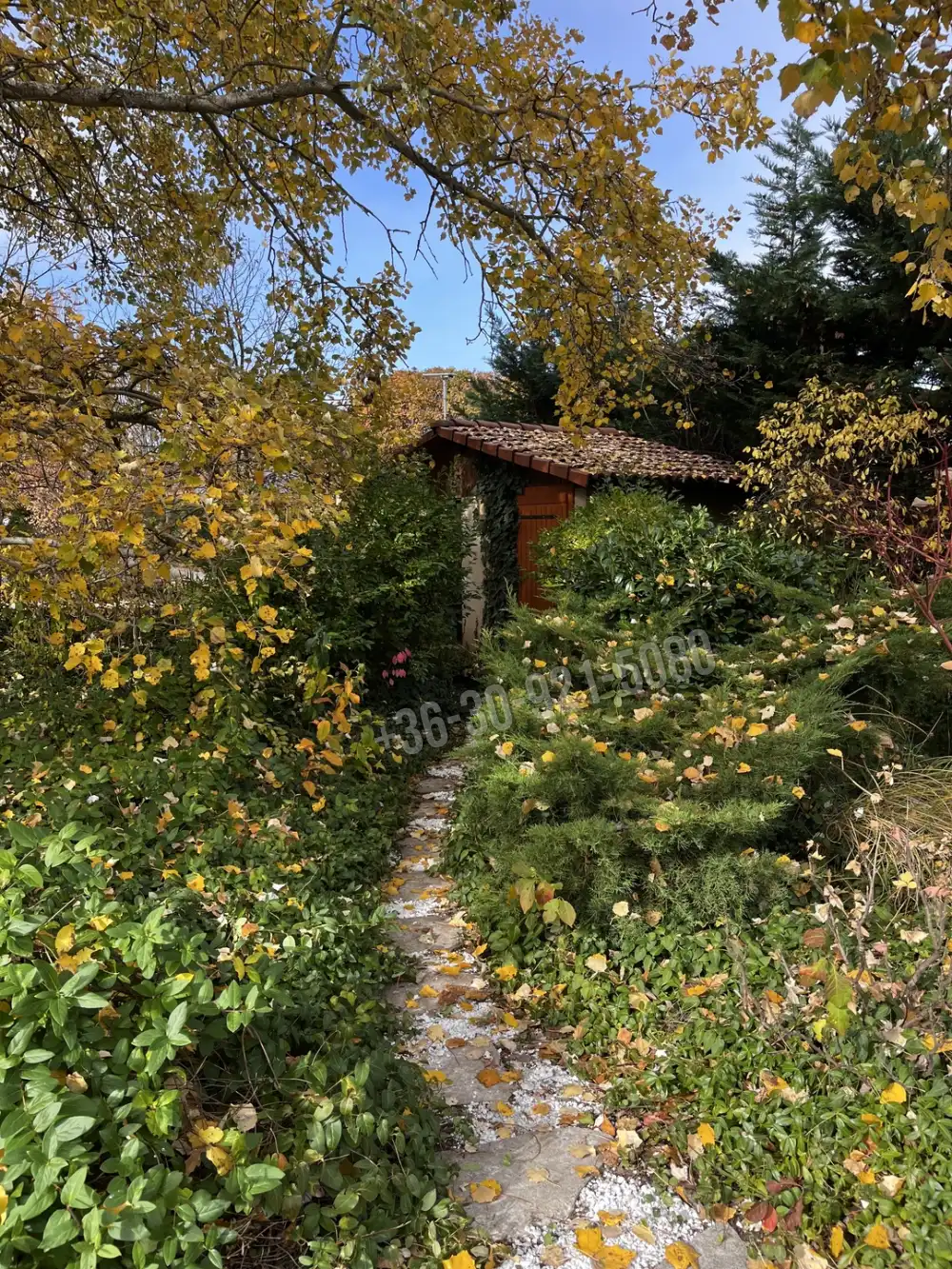 Pest megye - Mogyoród