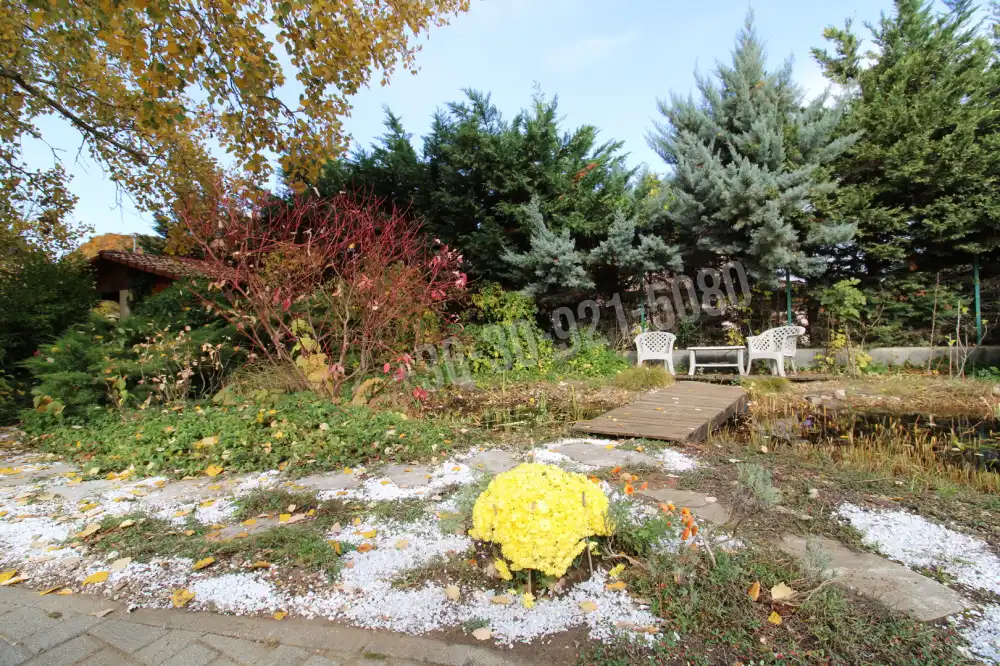 Pest megye - Mogyoród