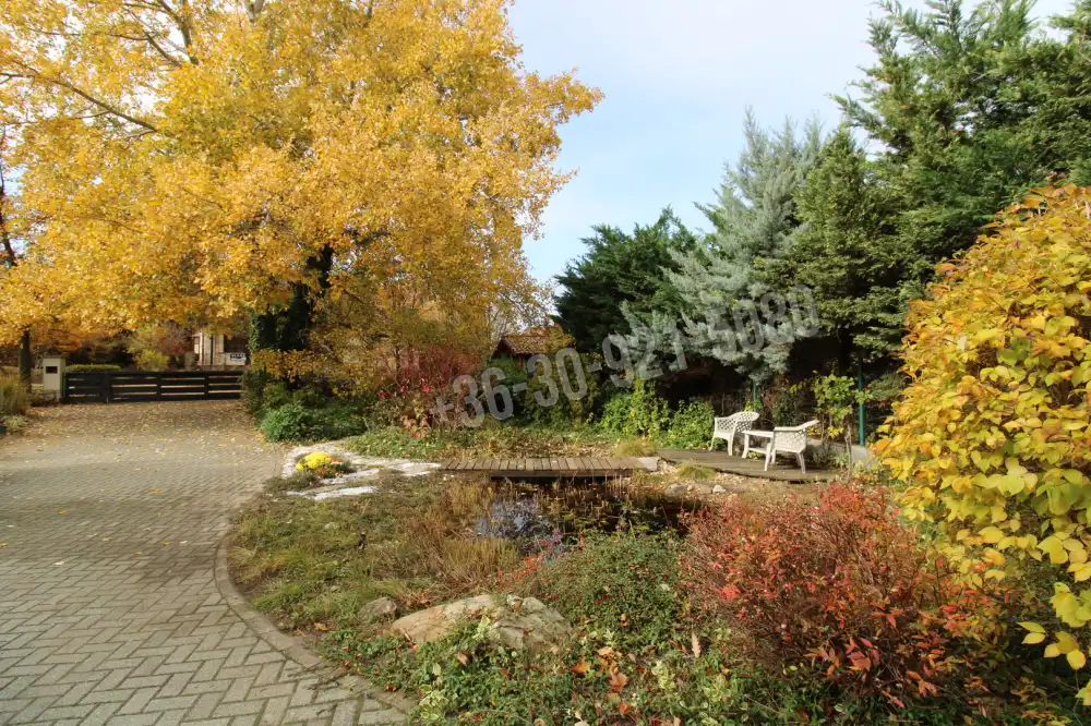 Pest megye - Mogyoród