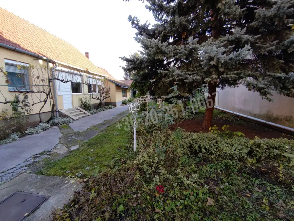 Baranya megye - Mohács