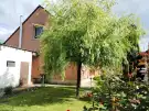Baranya megye - Mohács