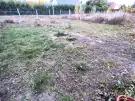 Baranya megye - Mohács
