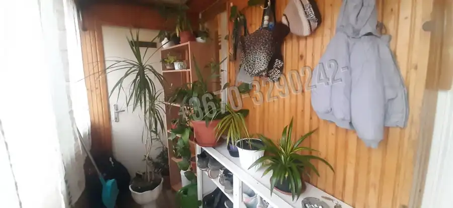 eladó családi ház, Monok