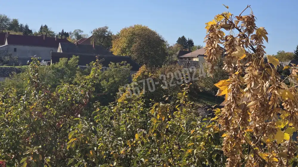 Borsod-Abaúj-Zemplén megye - Monok