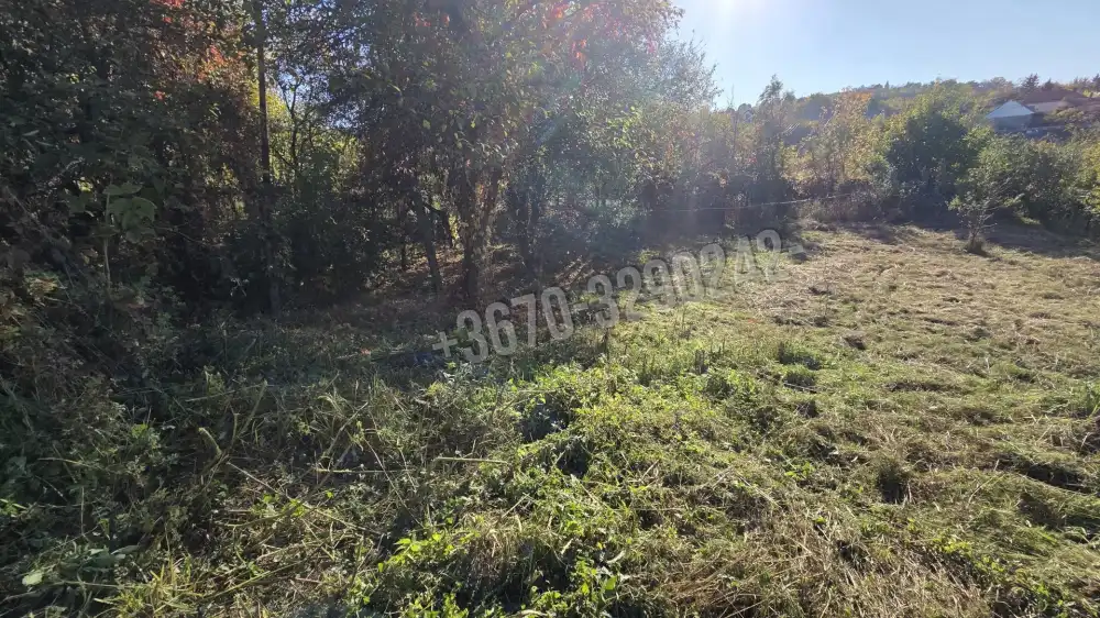 Borsod-Abaúj-Zemplén megye - Monok