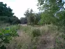 Pest megye - Monor