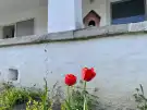 Fejér megye - Mór