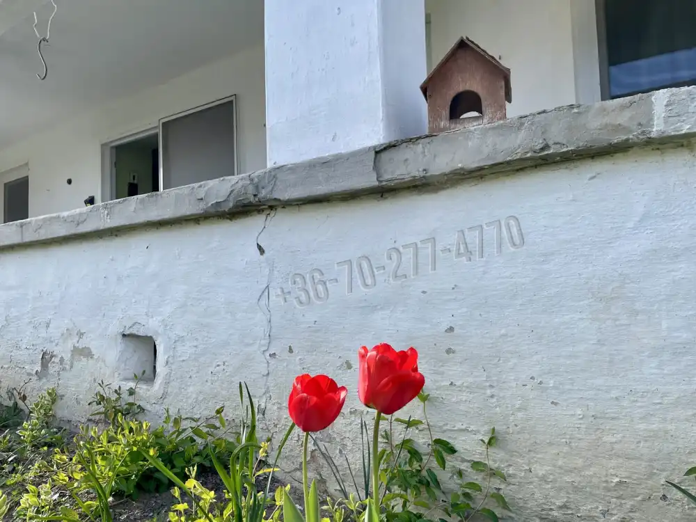 Fejér megye - Mór