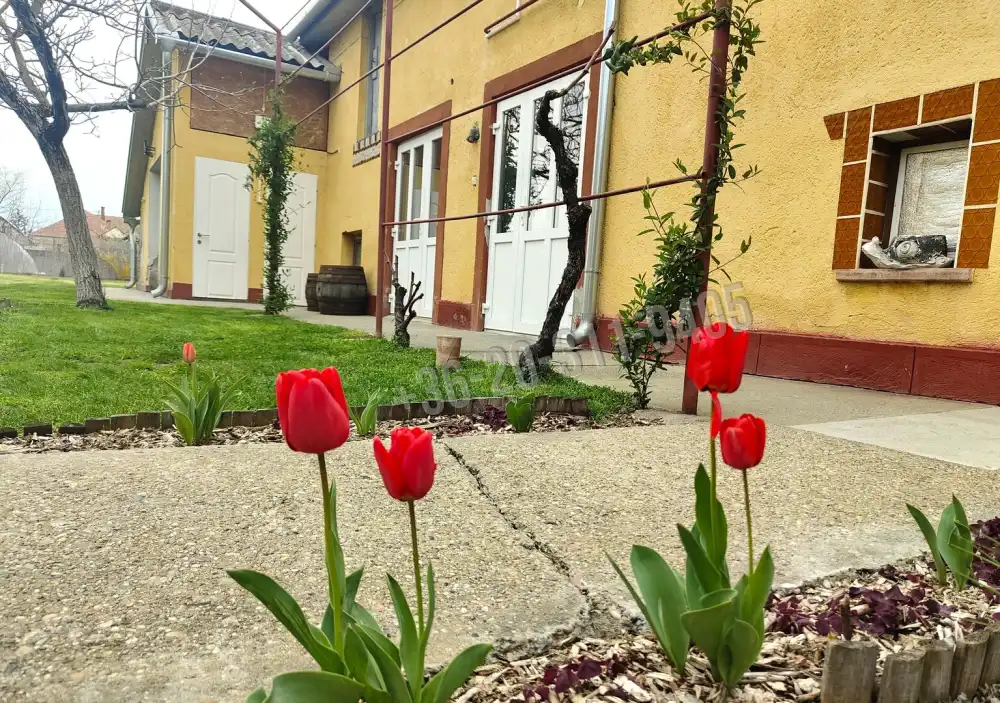 Csongrád megye - Mórahalom
