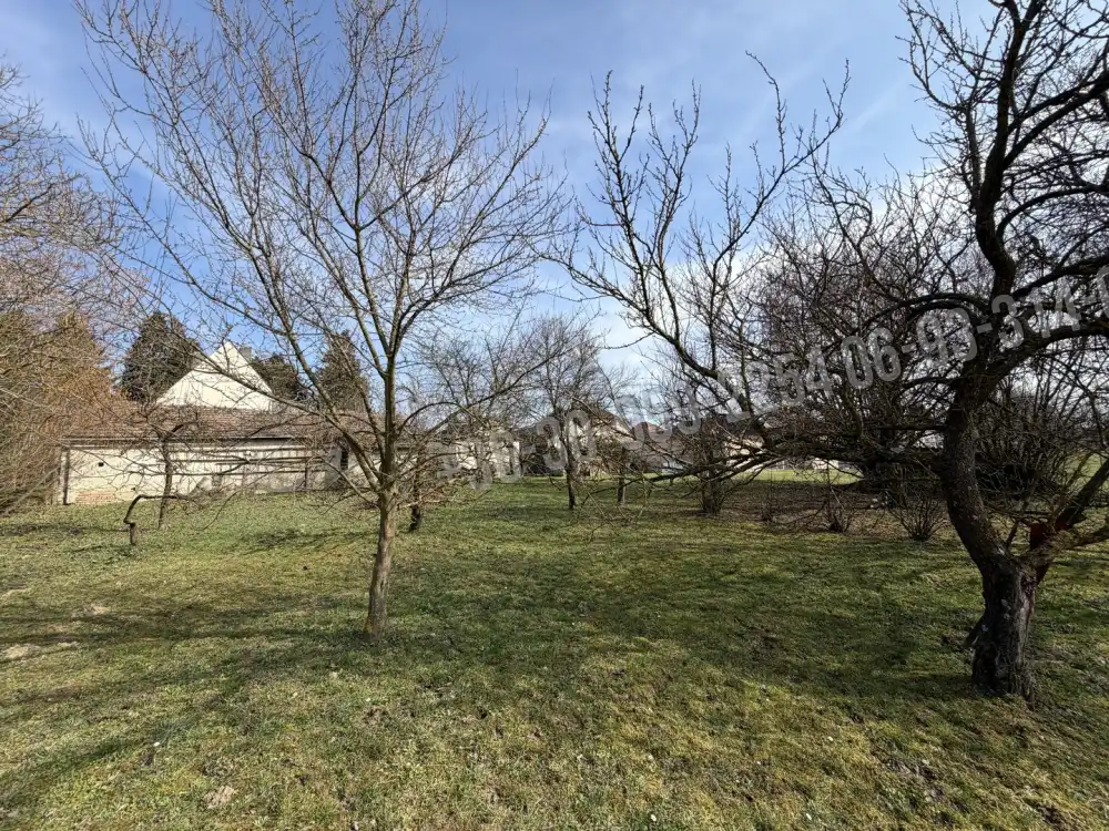 Zala megye - Nagykanizsa-Palin