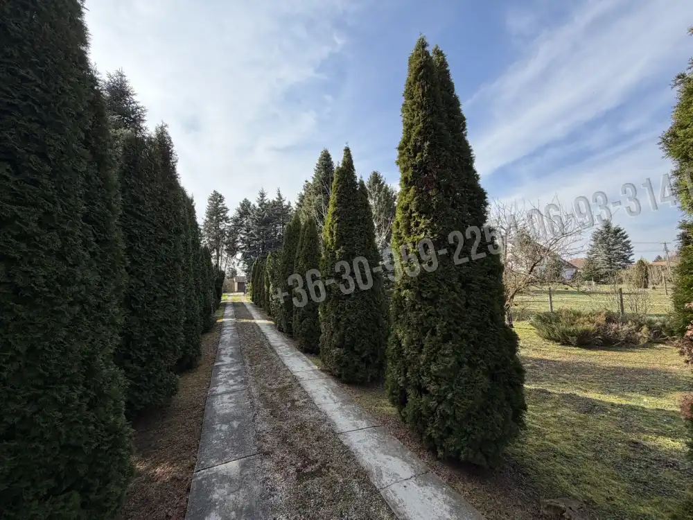 Zala megye - Nagykanizsa-Palin