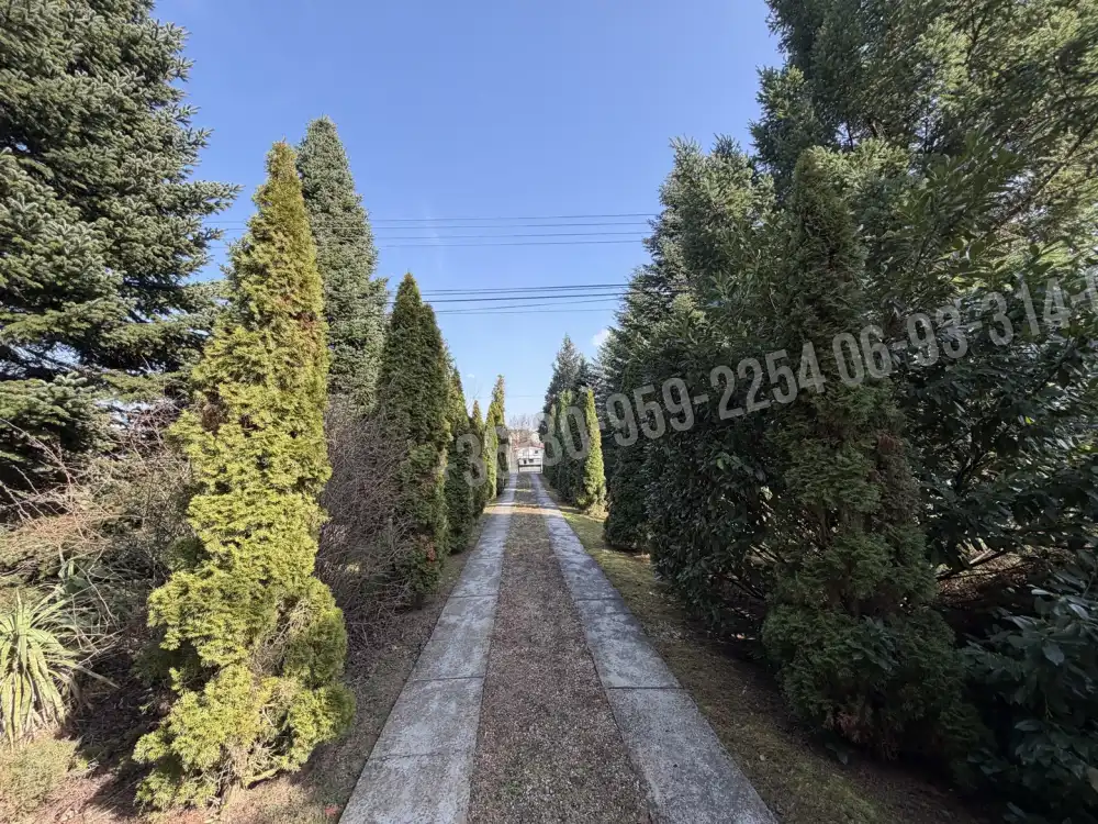 Zala megye - Nagykanizsa-Palin