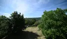 Pest megye - Nagykovácsi