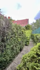 Pest megye - Nagykovácsi