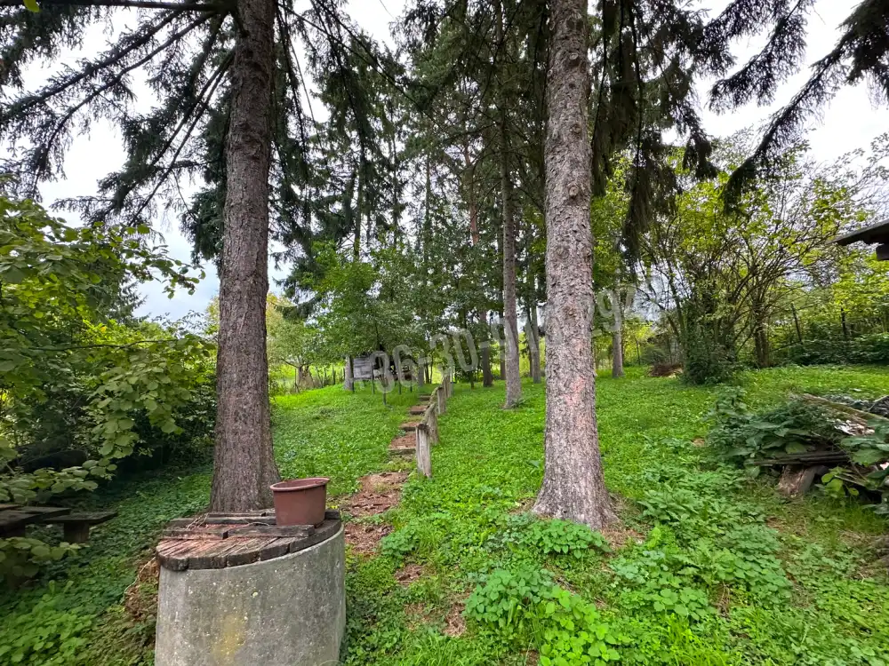 Nógrád megye - Nógrád