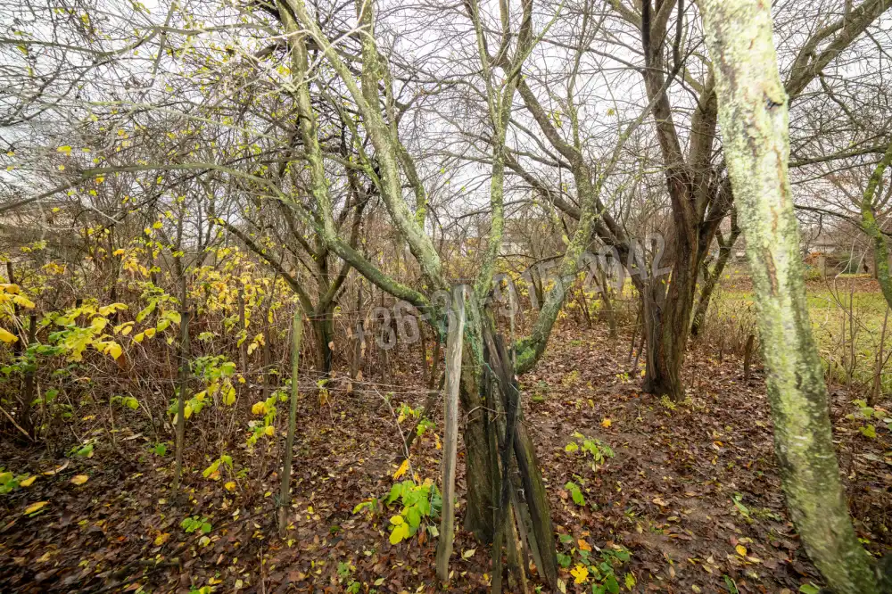 Nógrád megye - Nógrádkövesd