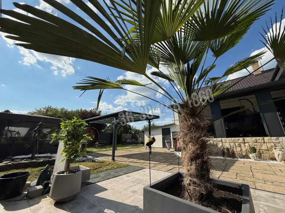 Szabolcs-Szatmár-Bereg megye - Nyíregyháza