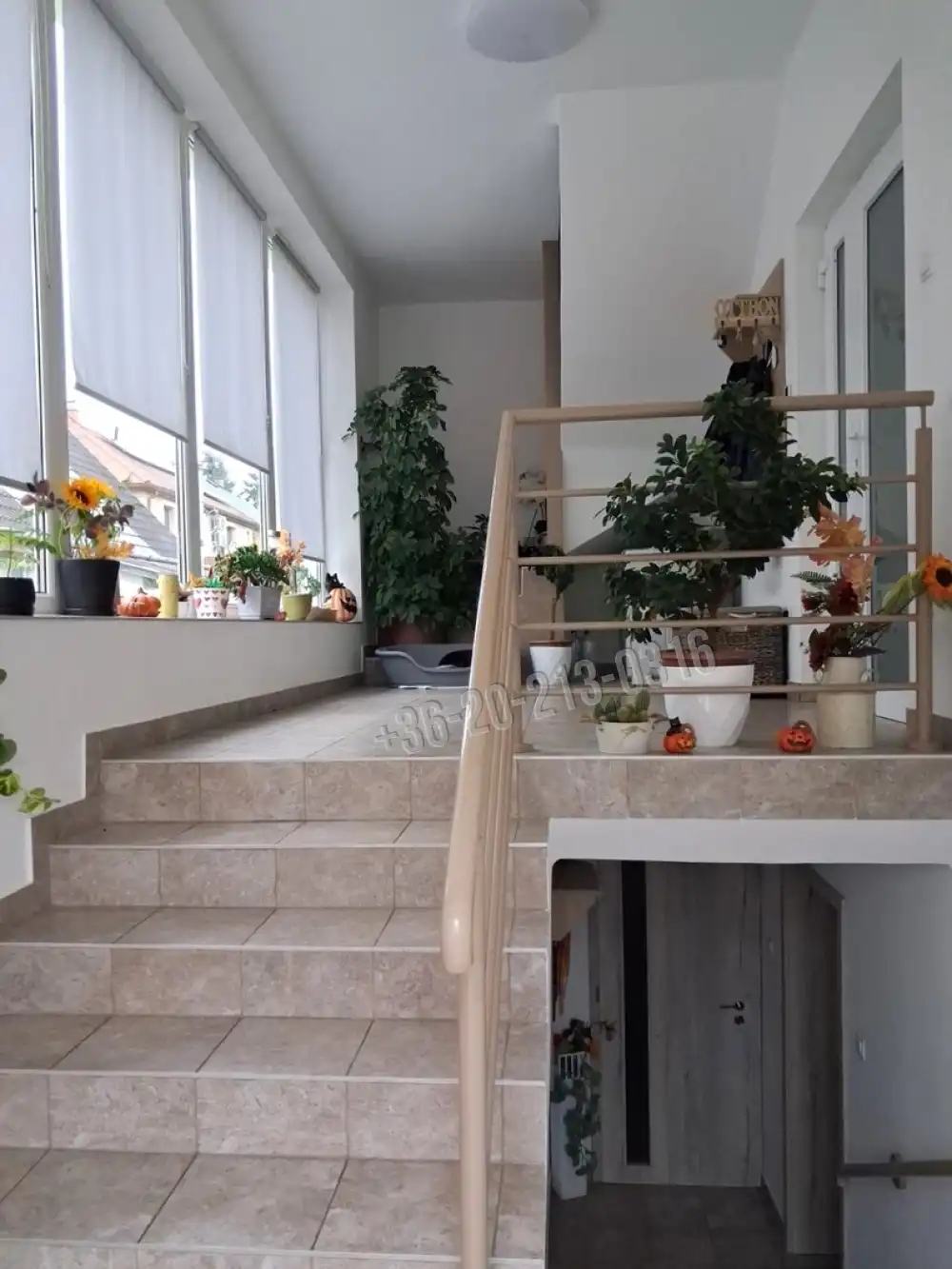 Szabolcs-Szatmár-Bereg megye - Nyíregyháza