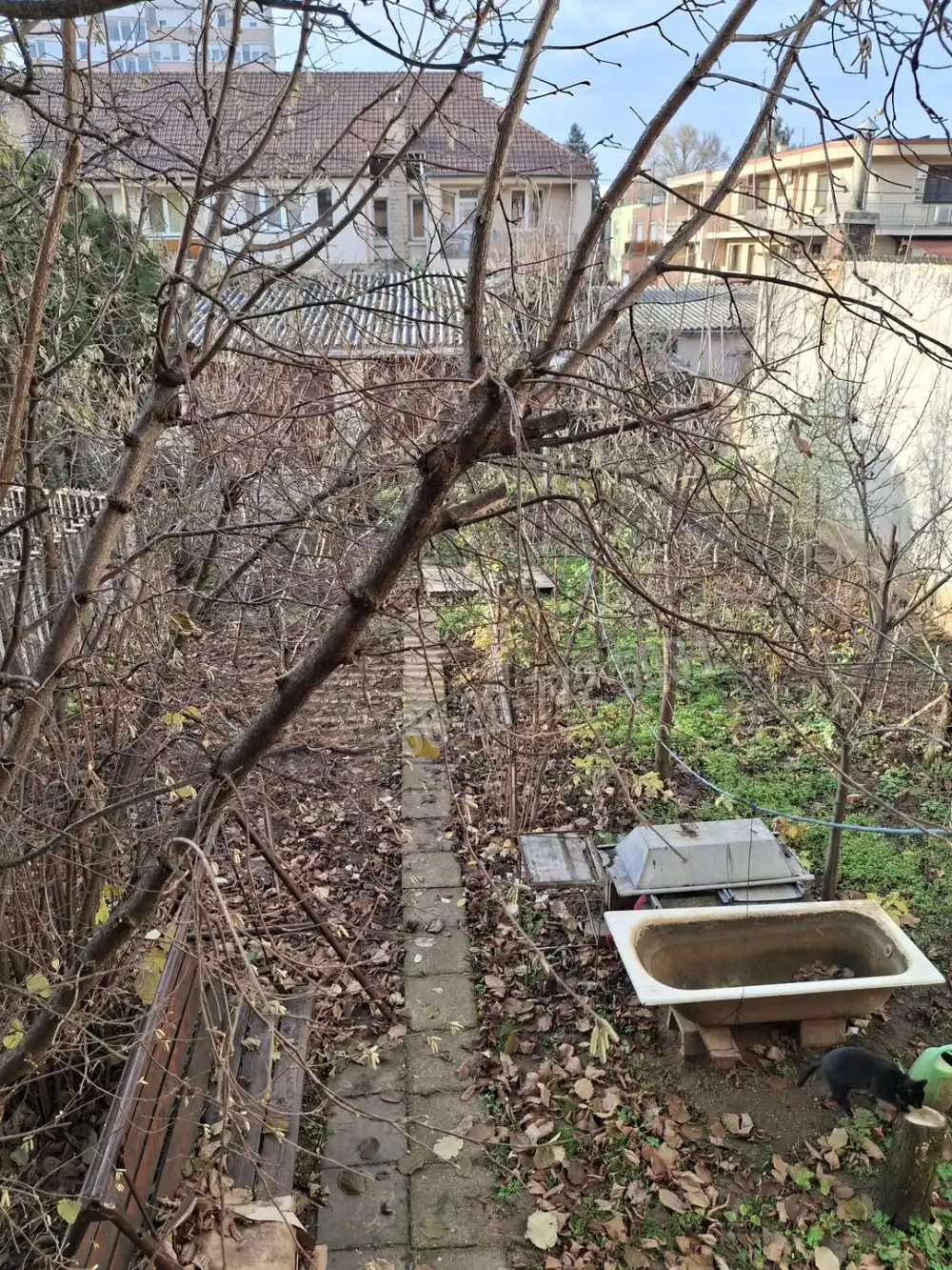 Szabolcs-Szatmár-Bereg megye - Nyíregyháza