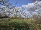 Pest megye - Örkény