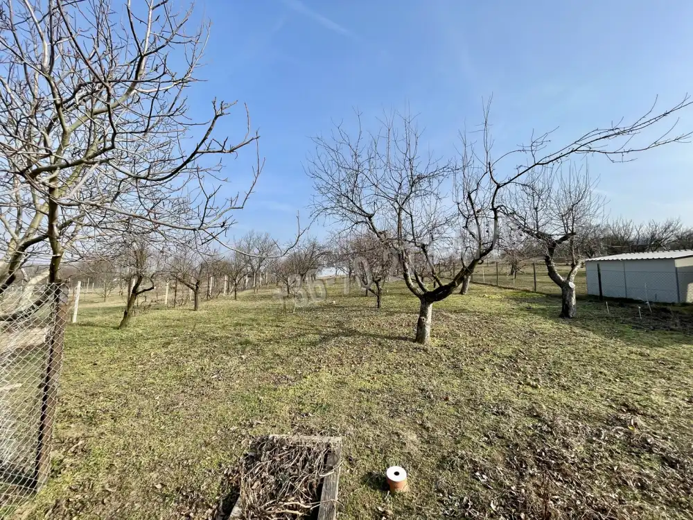 Komárom-Esztergom megye - Oroszlány