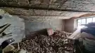 Tolna megye - Paks