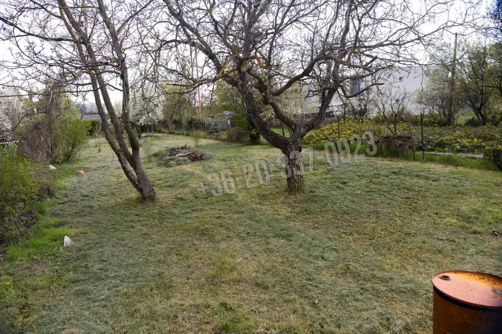 Nógrád megye - Pásztó