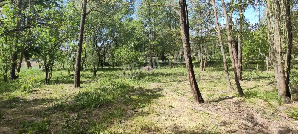Nógrád megye - Patak