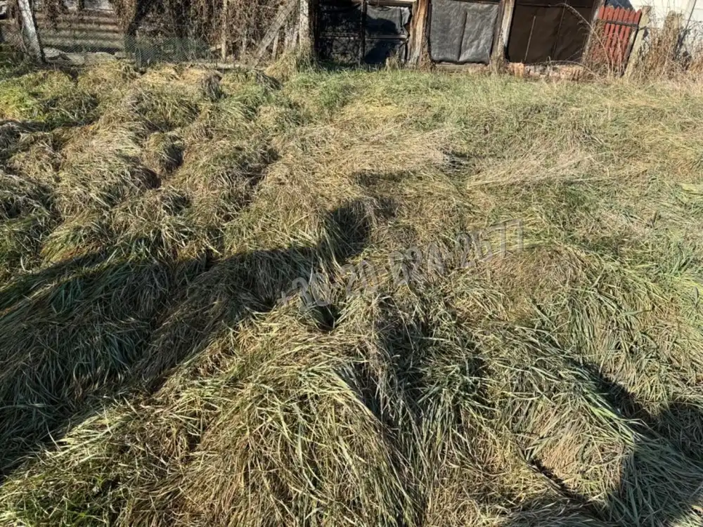 Nógrád megye - Patak