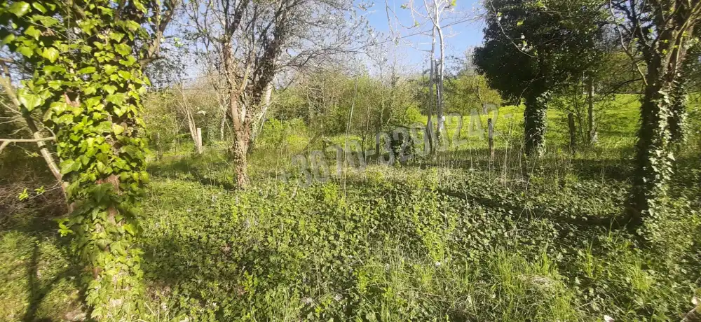 Borsod-Abaúj-Zemplén megye - Pere