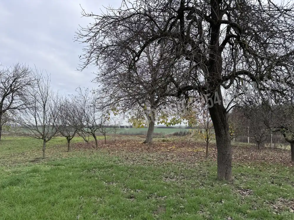 Zala megye - Petrivente