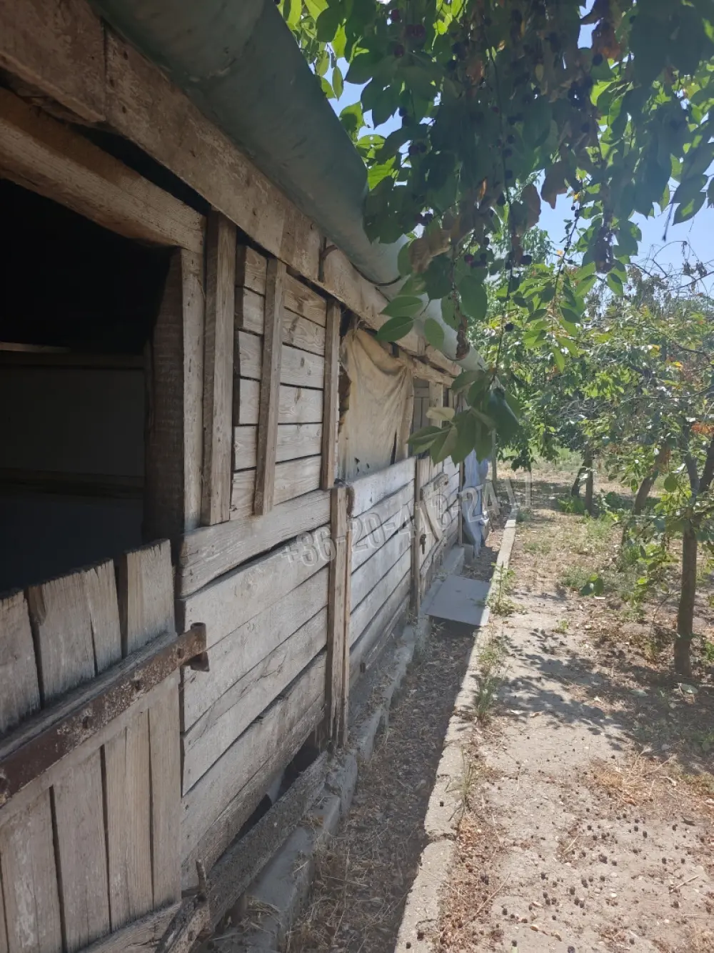 Pest megye - Pilis