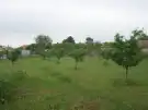 Pest megye - Pilis