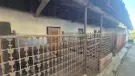 Hajdú-Bihar megye - Pocsaj