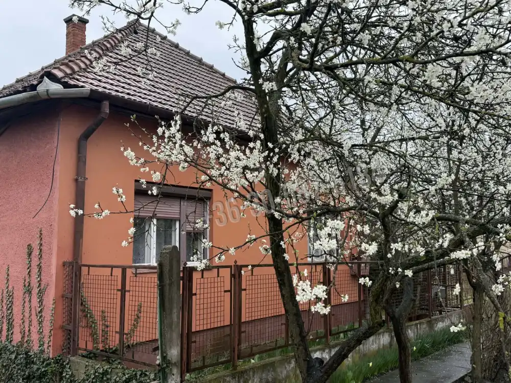 Hajdú-Bihar megye - Püspökladány