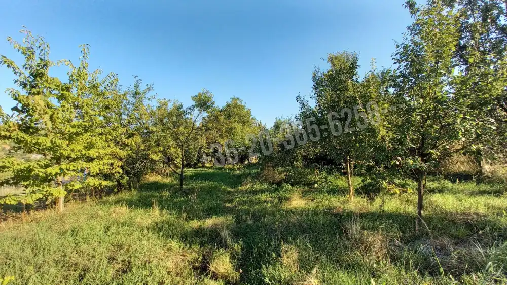 Pest megye - Püspökszilágy