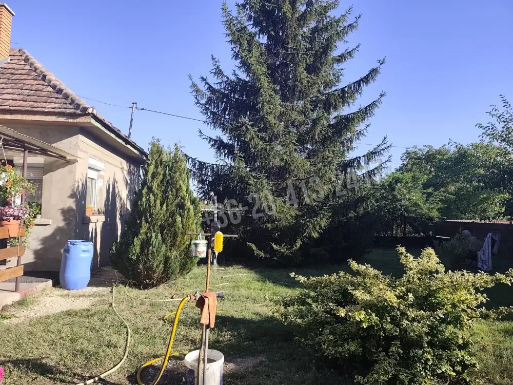 Pest megye - Pusztavacs