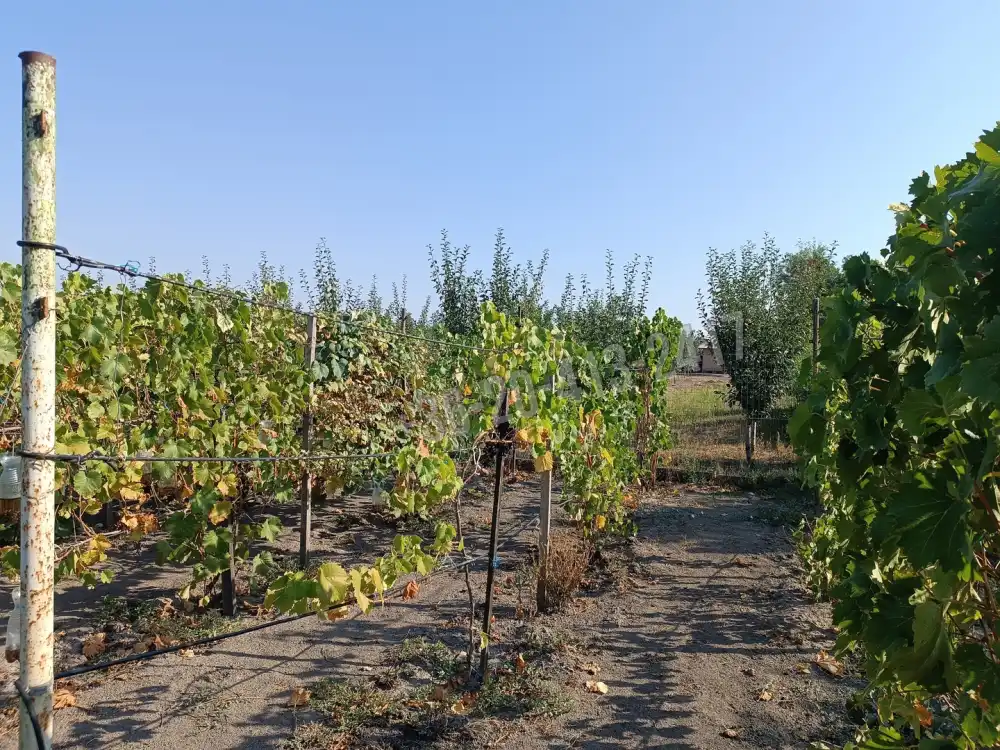 Pest megye - Pusztavacs